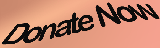 Donate Now Button